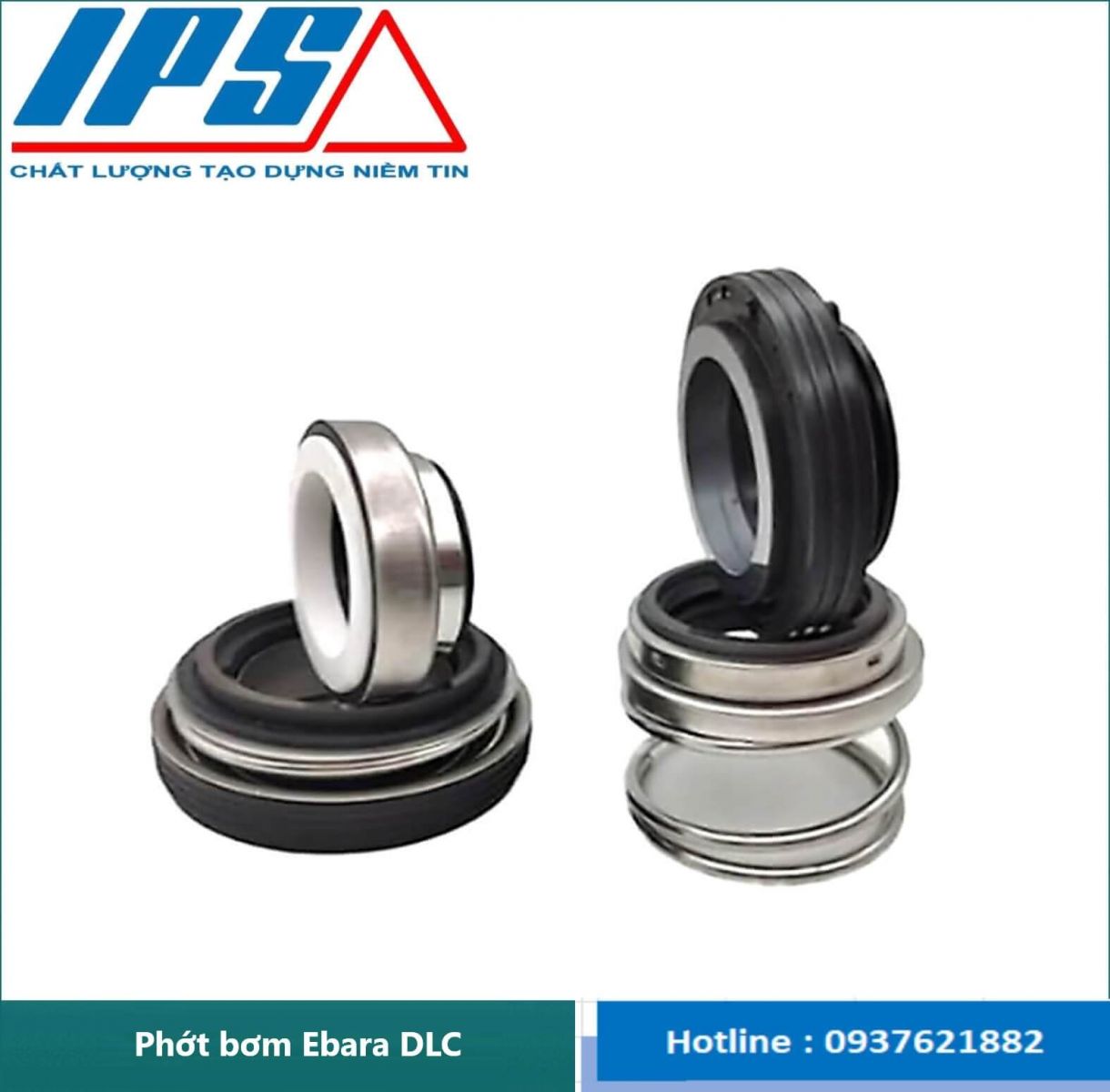 /Phớt bơm Ebara DLC -3